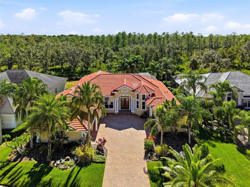 10526 Cory Lake Dr., Tampa, FL 33647