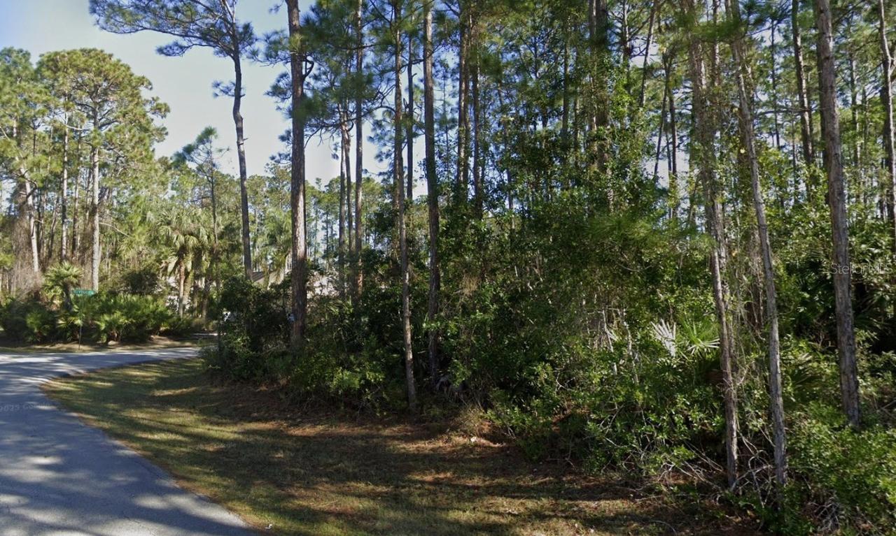 22 Reynolds Pl., Palm Coast, FL 32164