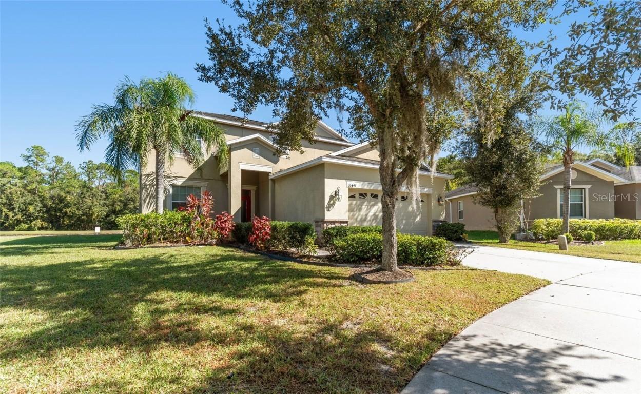 20443 Autumn Fern Ave., Tampa, FL 33647