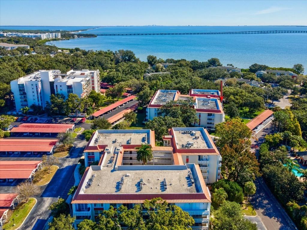 2650 Pearce Dr. #403, Clearwater, FL 33764