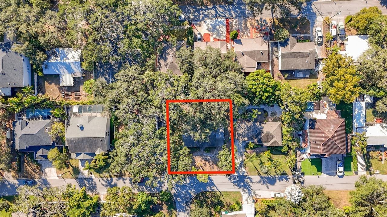 3120 W Coachman Ave., Tampa, FL 33611