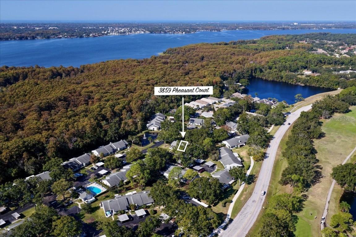 3859 Pheasant Ct., Palm Harbor, FL 34685