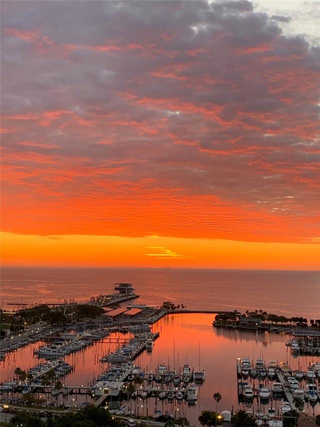 100 1st Ave. #1804, St Petersburg, FL 33701