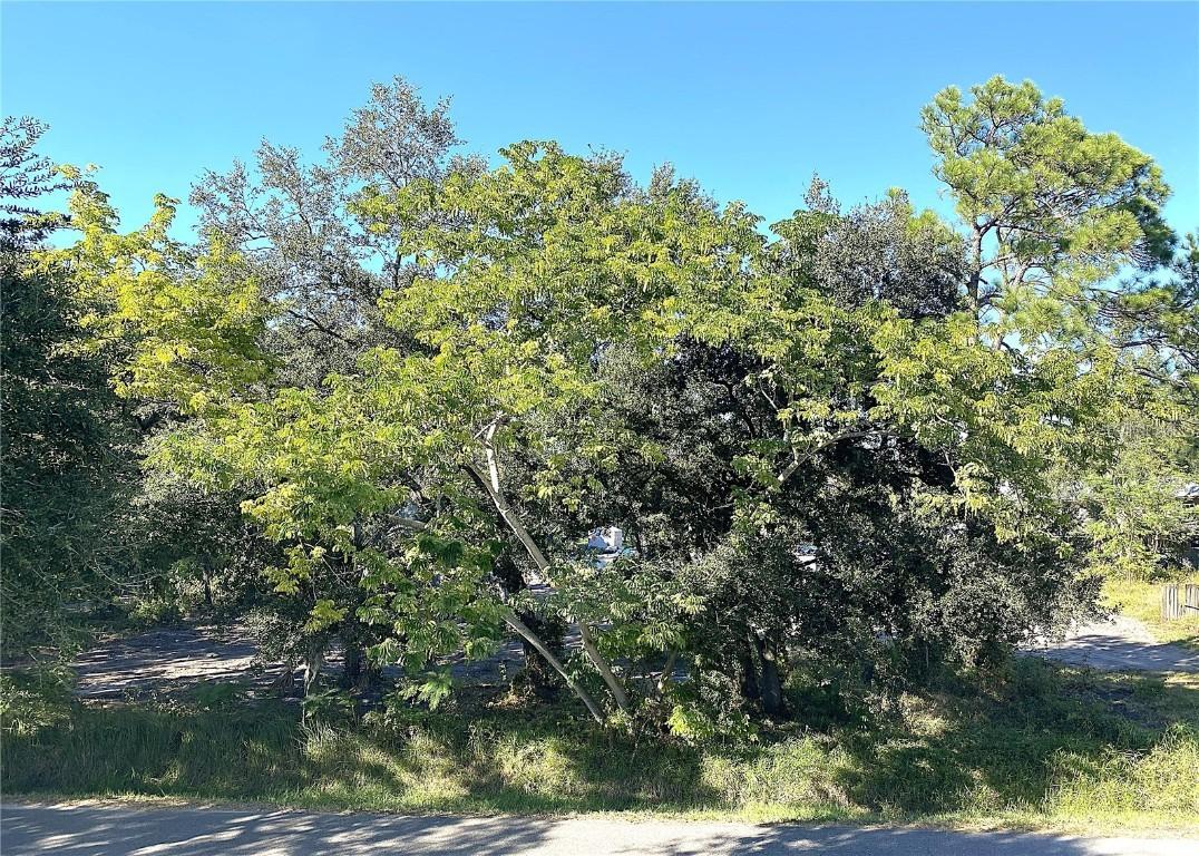 6808 New York Dr., Tampa, FL 33619