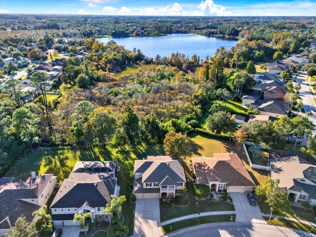 7309 Night Heron Dr., Land O Lakes, FL 34637