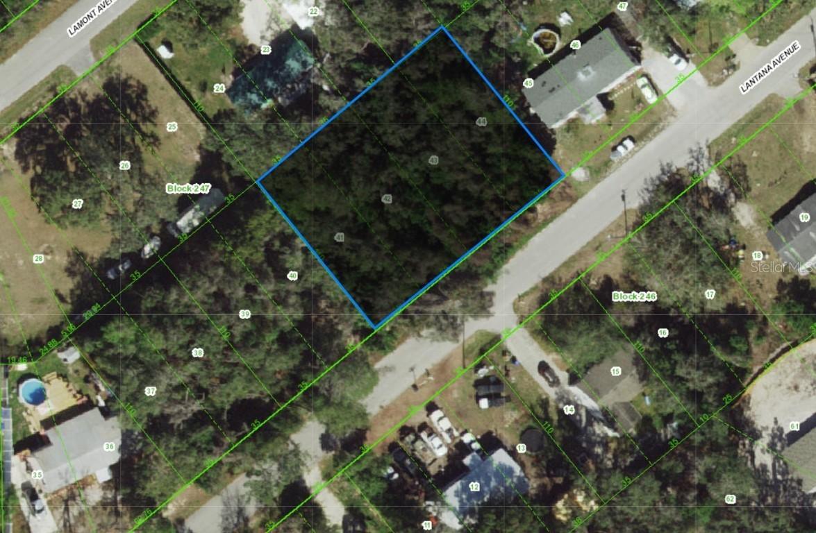 Lantana Ave., New Port Richey, FL 34654