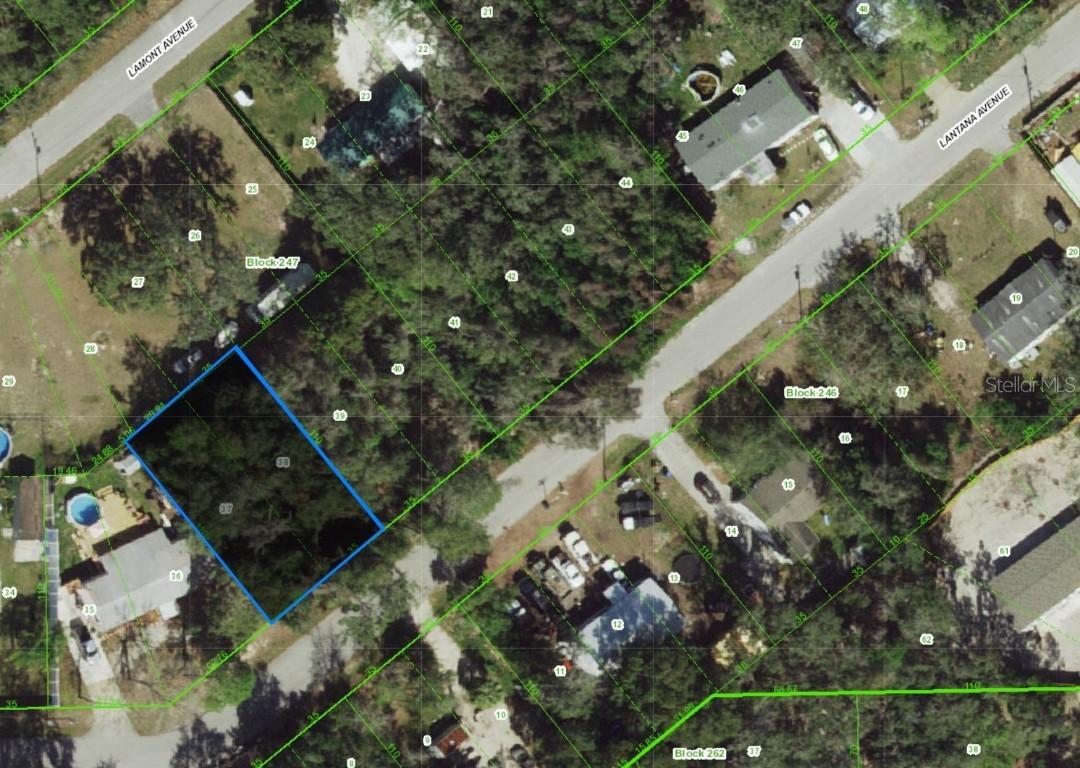 000 Lantana Ave., New Port Richey, FL 34654