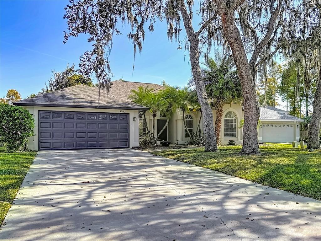 8543 Basuto Dr., Trinity, FL 34655