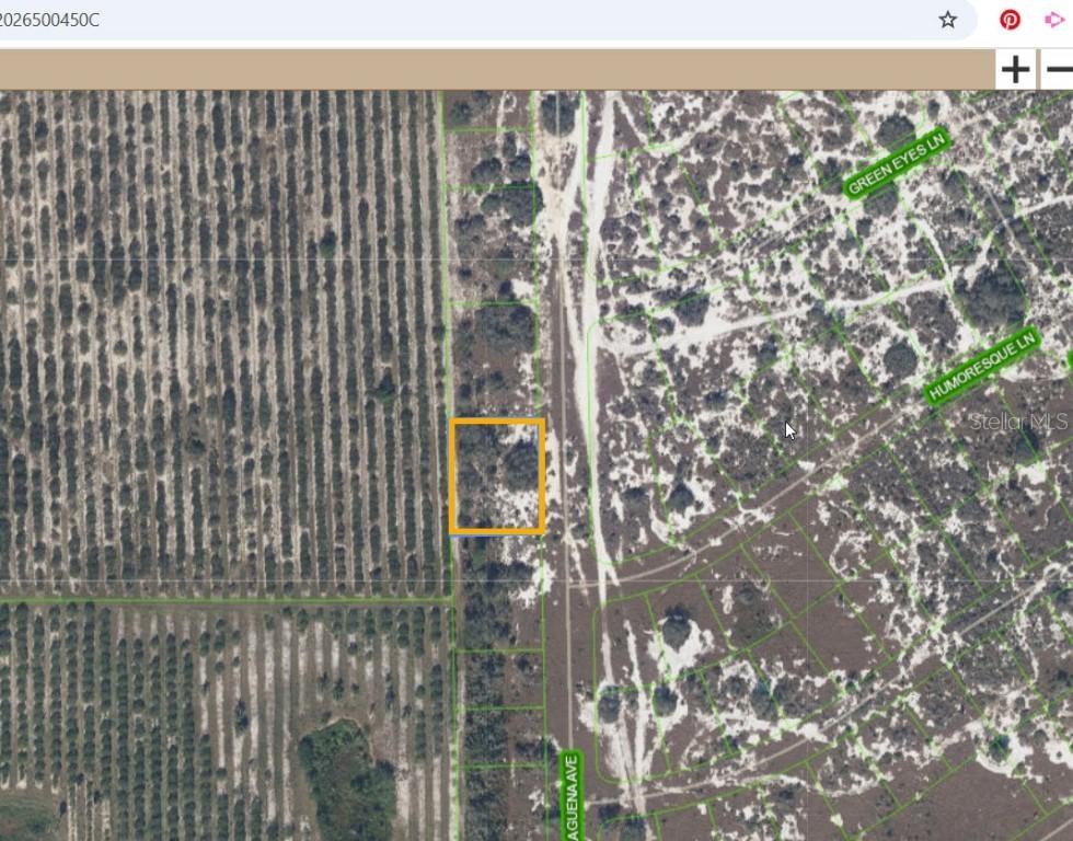 725 Malaguena Ave., Lake Placid, FL 33852