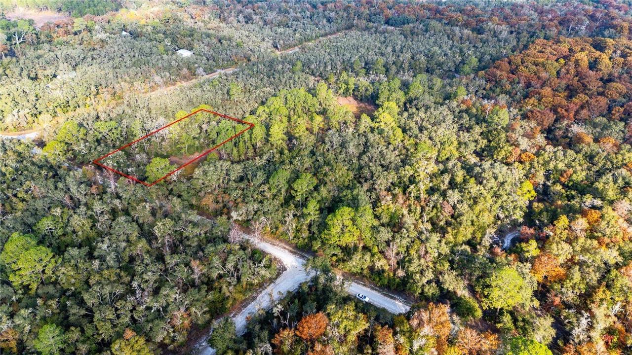 Rose Bloom Lot 7 Ave., Webster, FL 33597