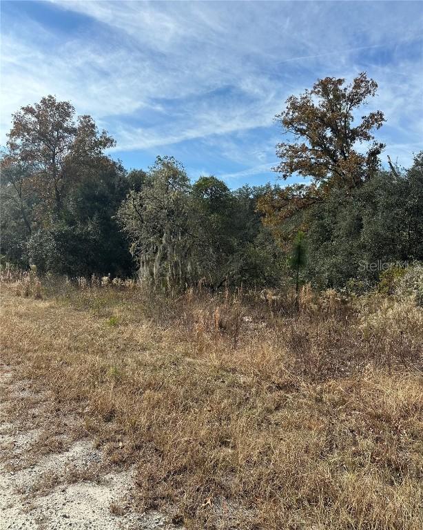 Lot 26 SE 133rd Ave., Dunnellon, FL 34434