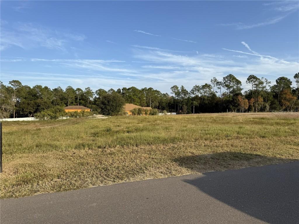 14950 Mim Pl., Dade City, FL 33525