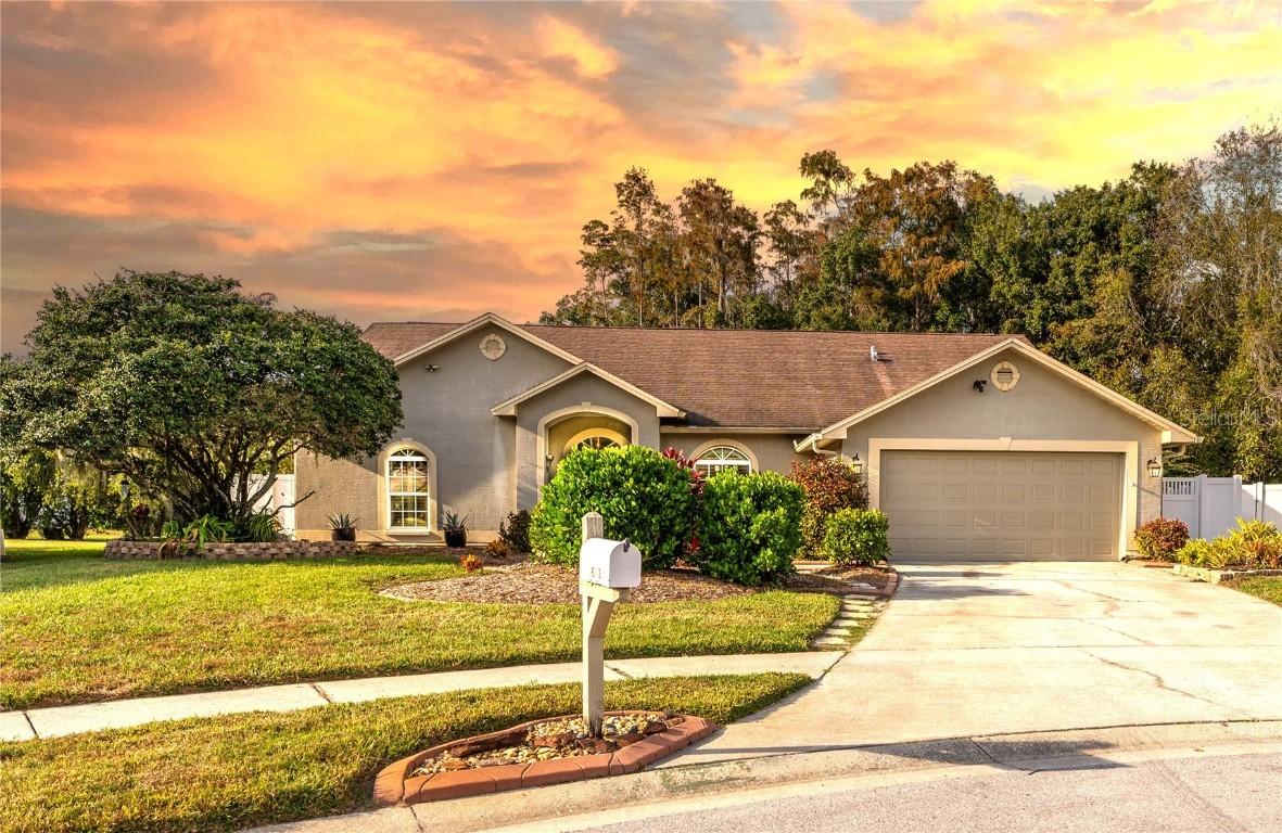 26203 Corkwood Ct., Land O Lakes, FL 34639