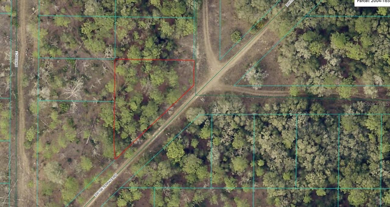 TBD SW 156th Ter Rd., Ocala, FL 34481