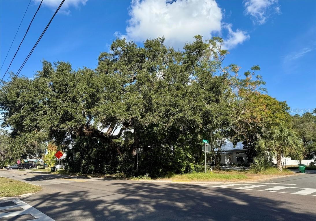 Delaware St., Safety Harbor, FL 34695