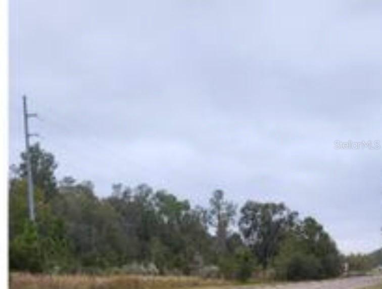 E Dade Lane, Spring Hill, FL 34610