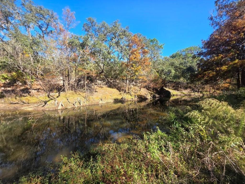 33039 Round Table Rd., Dade City, FL 33523