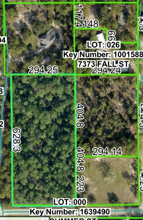 00 Horn Ave., Brooksville, FL 34613