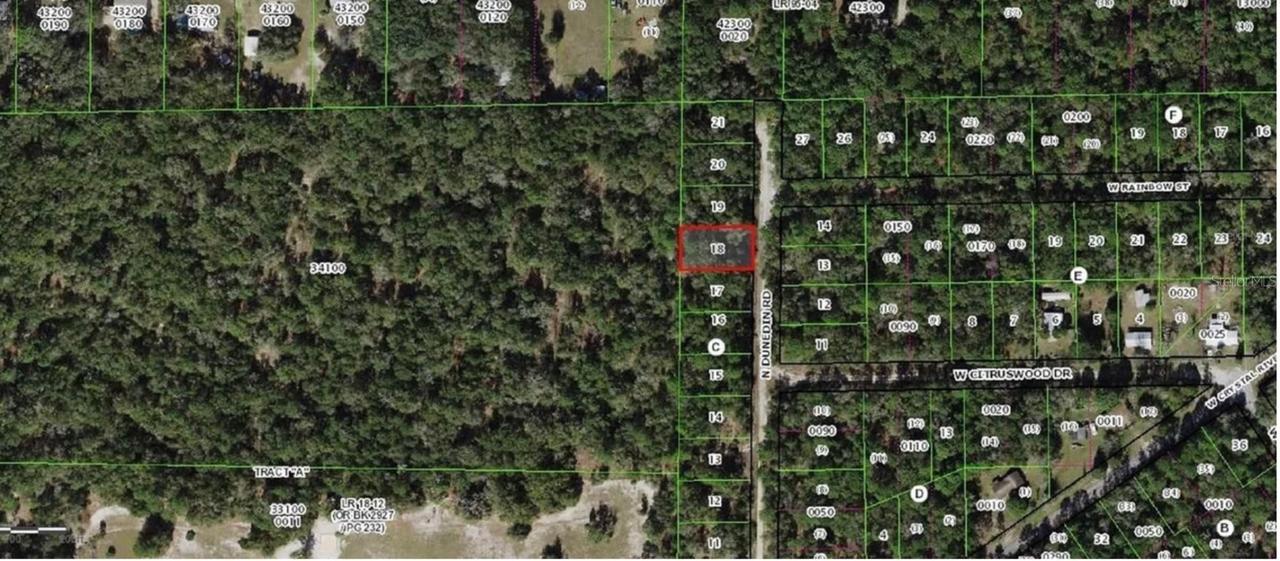 10452 N Dunedin Rd, Dunnellon, FL 34433
