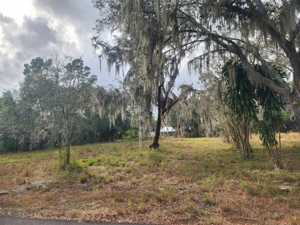 1409 Wilkinson Dr., Plant City, FL 33566