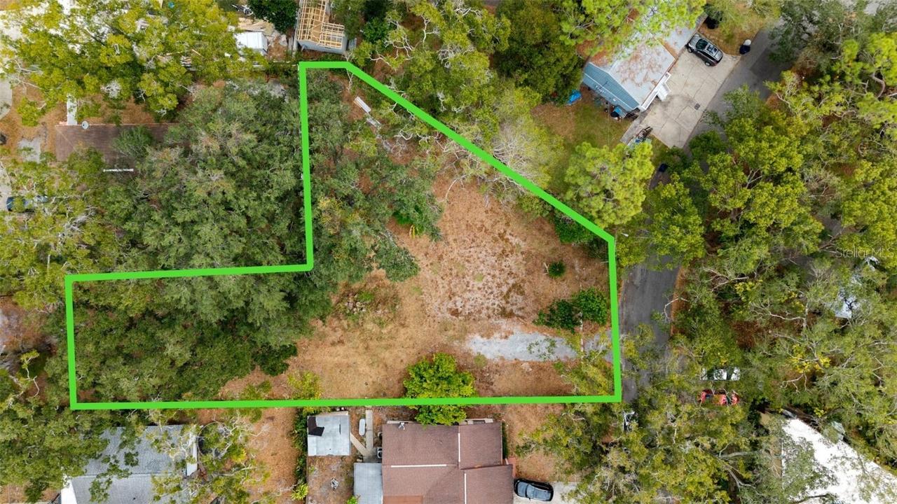 1716 E Kirby St., Tampa, FL 33604