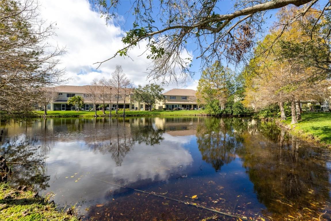 11231 Kapok Grand Cir., St Petersburg, FL 33708