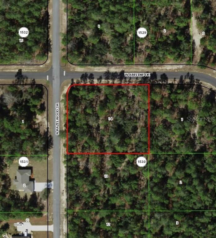 6777 N Hazelwood Dr., Citrus Springs, FL 34433