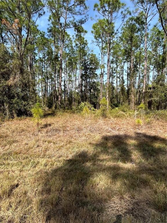 309 Sundance Tr., Wimauma, FL 33598