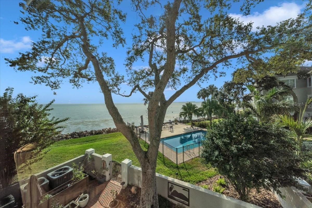 6212 Bayshore Blvd. #K, Tampa, FL 33611