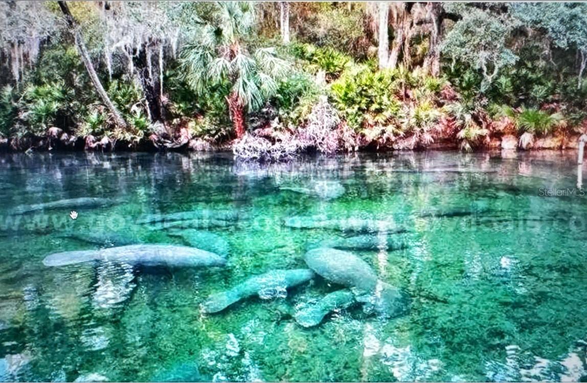 1 Werley Tr., Deland, FL 32720