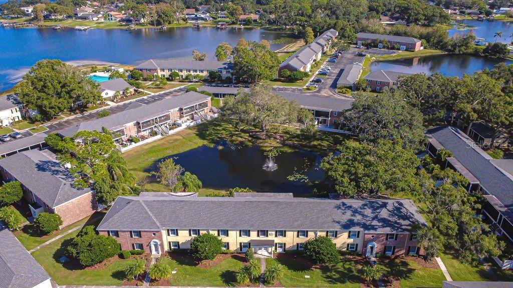 13693 Orange Sunset Dr. #203, Tampa, FL 33618