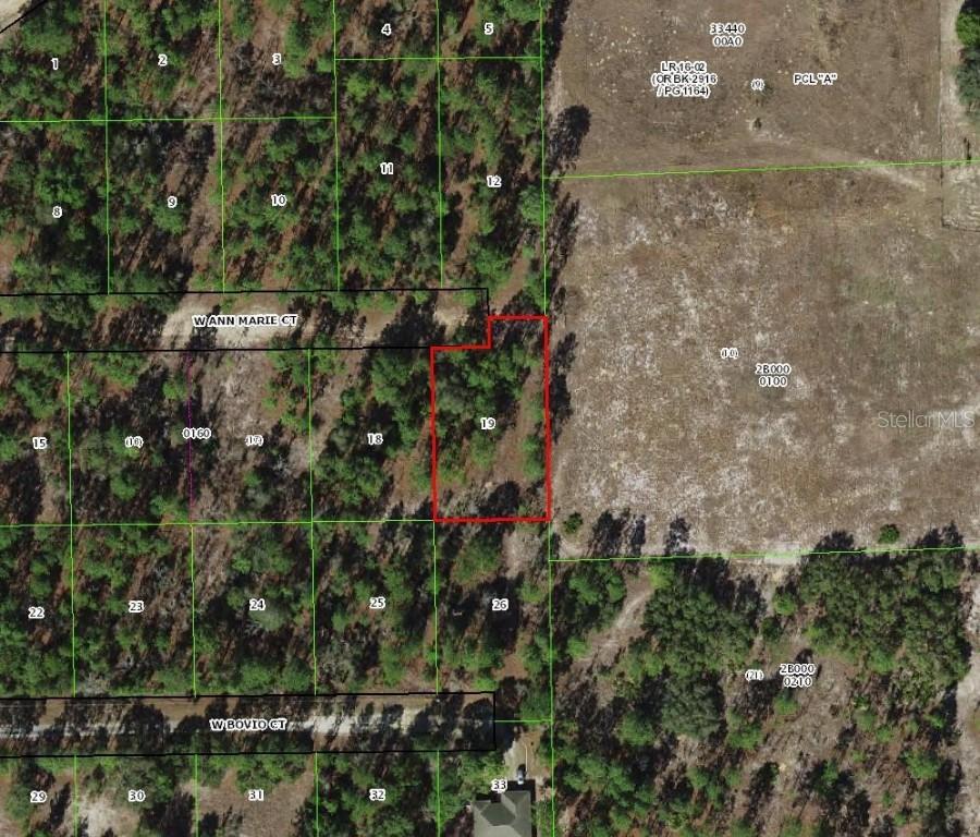 6020 W Ann Marie Ct., Dunnellon, FL 34433