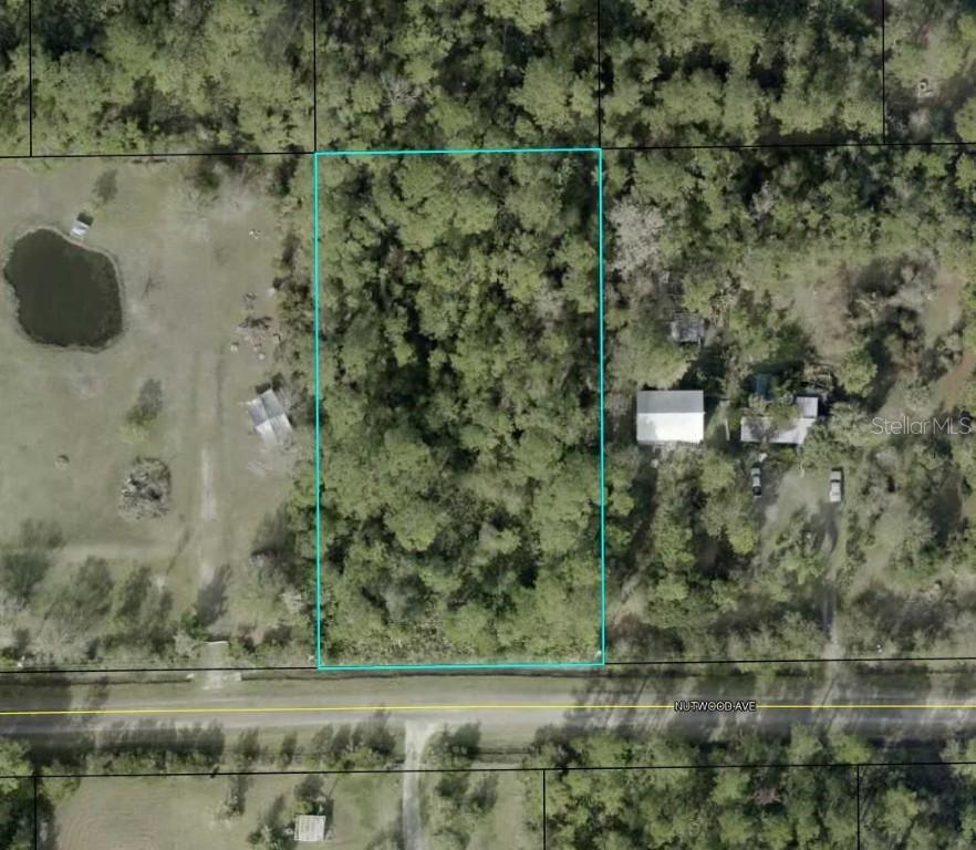 6044 Nutwood Ave., Bunnell, FL 32110