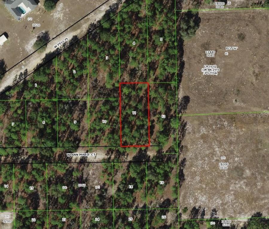 6031 W Ann Marie Ct., Dunnellon, FL 34433