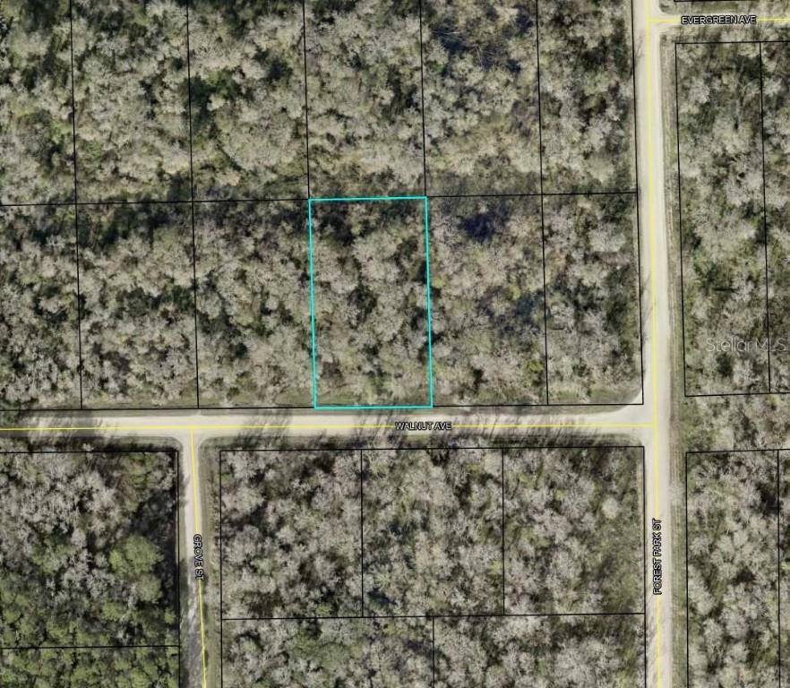 4030 Walnut Ave., Bunnell, FL 32110