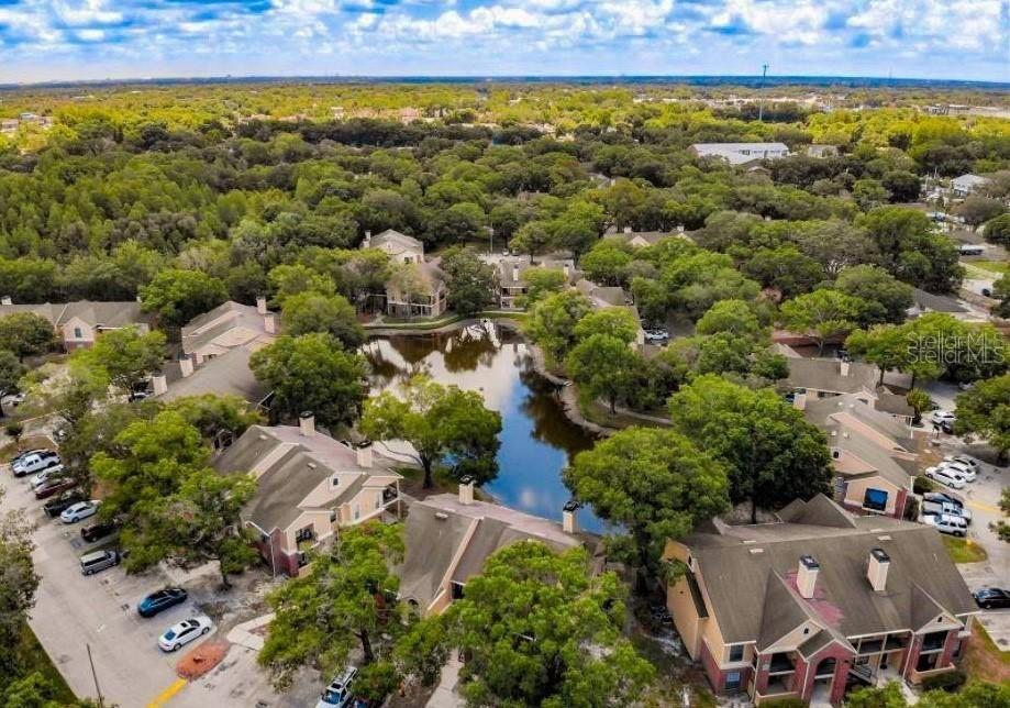 8649 Fancy Finch Dr. #103, Tampa, FL 33614