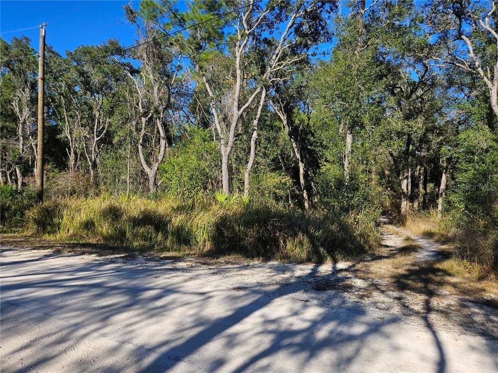 Berryhill Dr., Webster, FL 33597