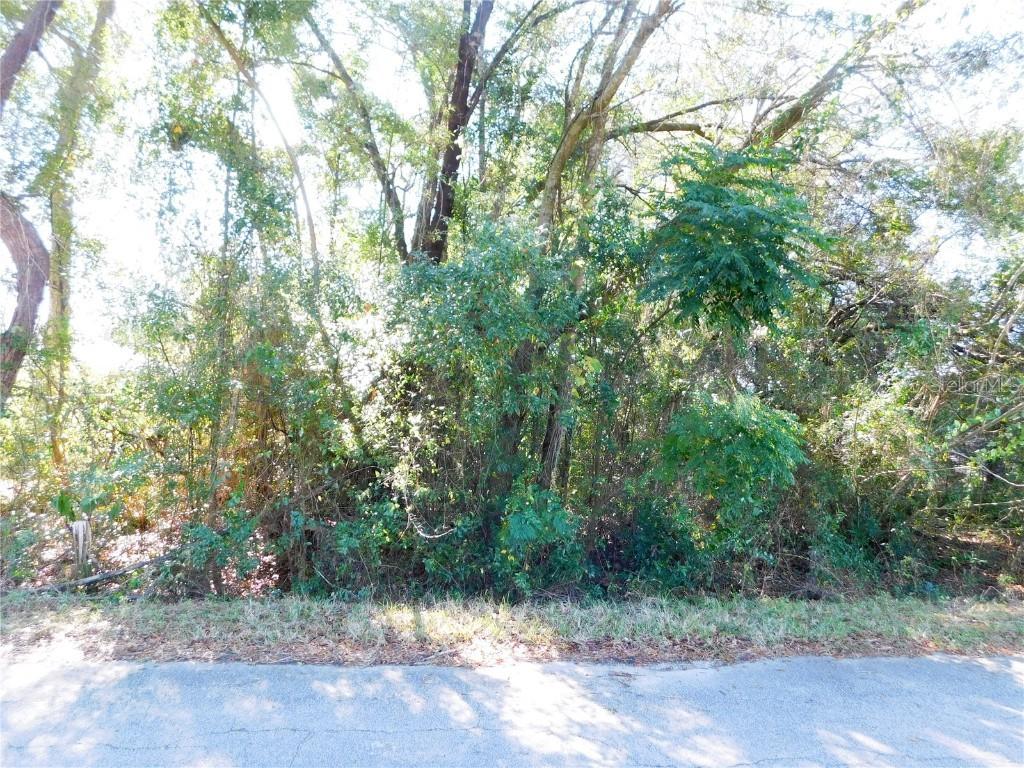 Se 135th Lane, Belleview, FL 34420
