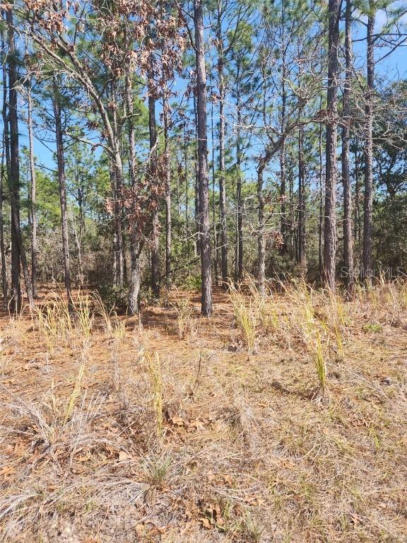 4379 N Baywood Dr., Beverly Hills, FL 34465