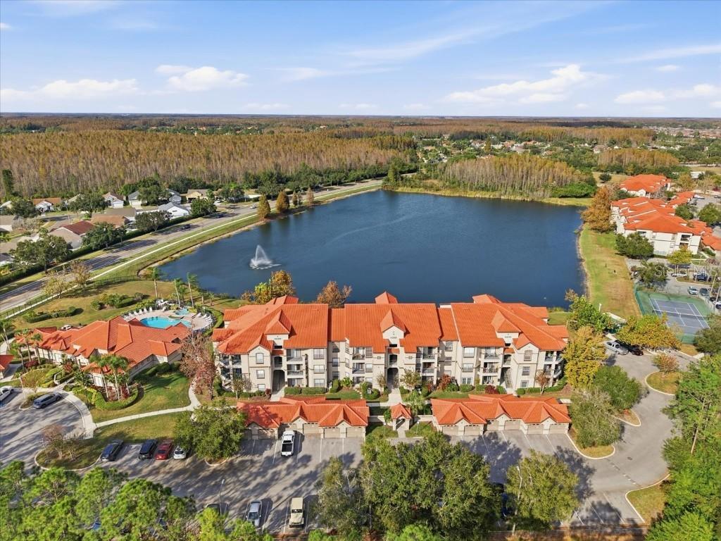 4209 Woodstorks Walk Way #1204, Lutz, FL 33558