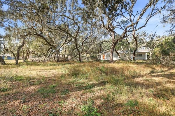 34574 Orchid Pkwy., Dade City, FL 33523