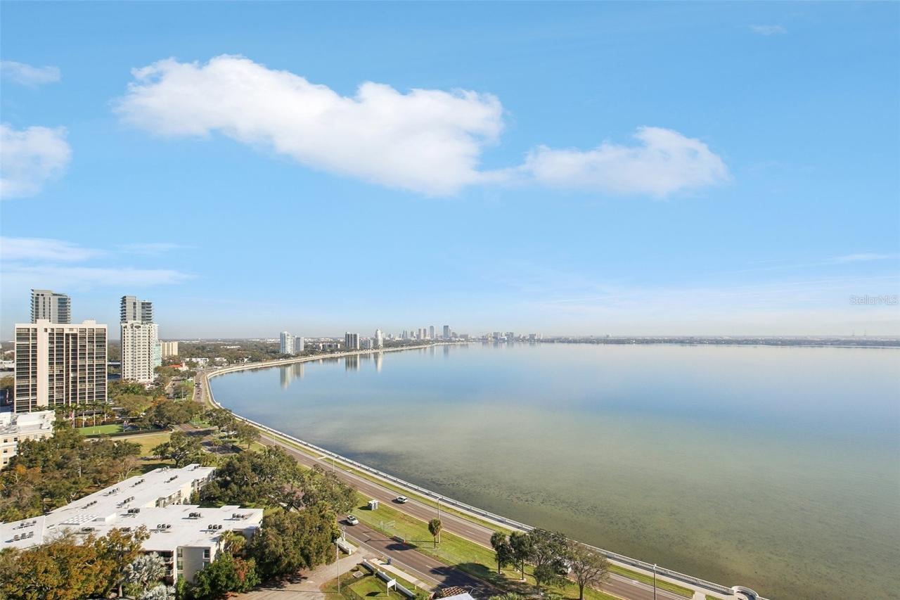 3401 Bayshore Blvd. #1704, Tampa, FL 33629