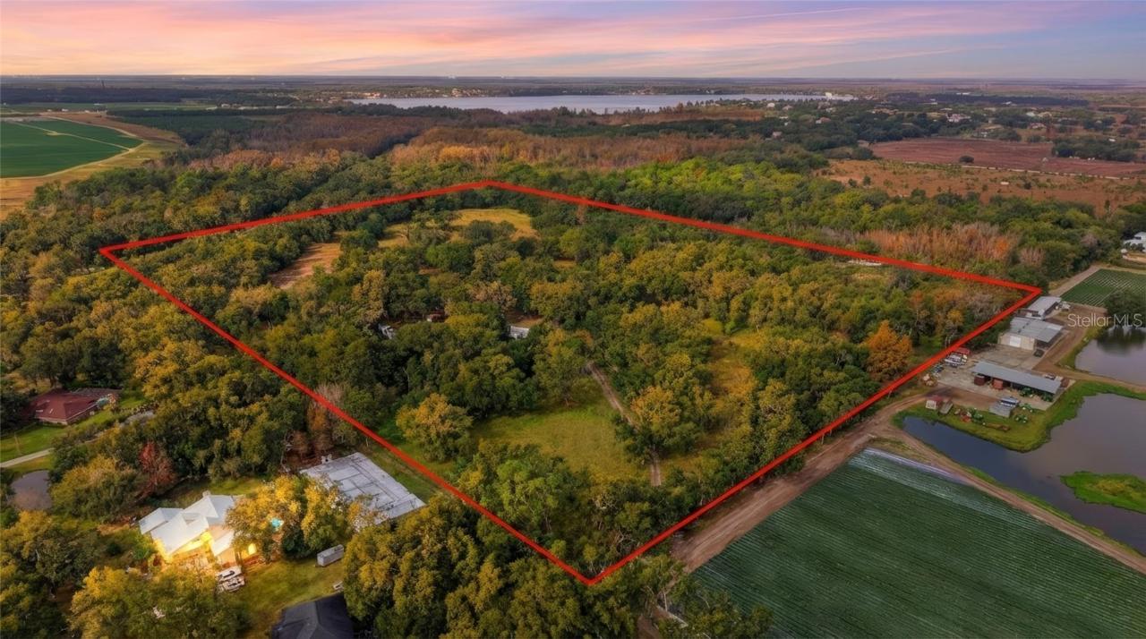 12454 Browns Berry Rd., Dover, FL 33527