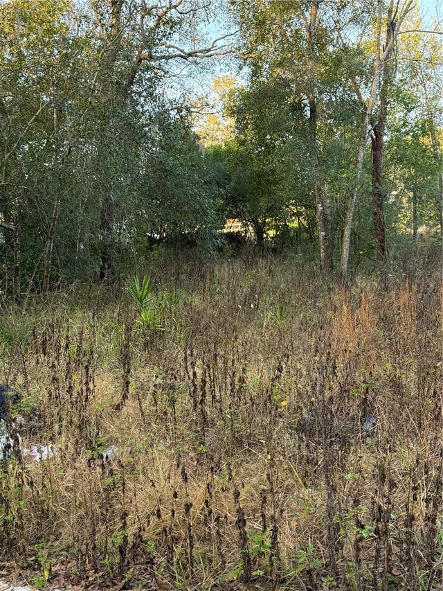 9411 Kissimmee St., New Port Richey, FL 34654