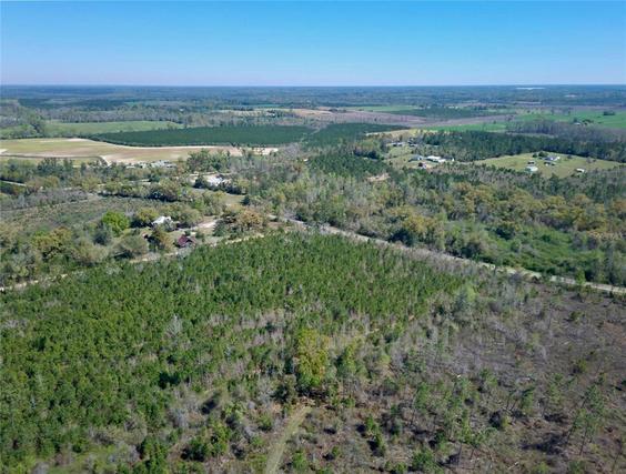 New Homes For Sale This Week in Cottondale: January 2nd to January 8th