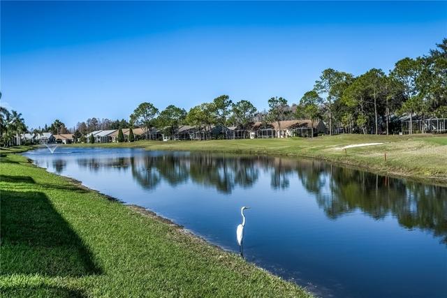 New Golf Course Lots For Sale in Land O' Lakes: December 30th to January 5th