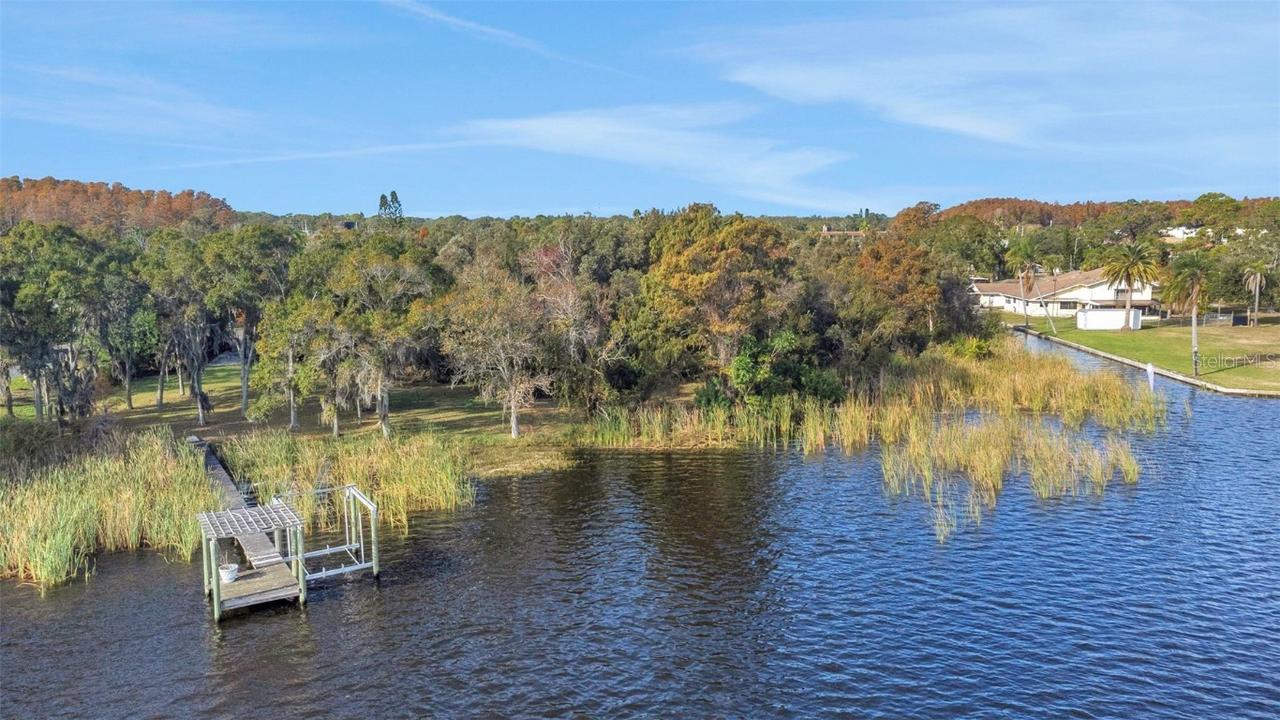 2661 Cyprus Dr., Palm Harbor, FL 34684