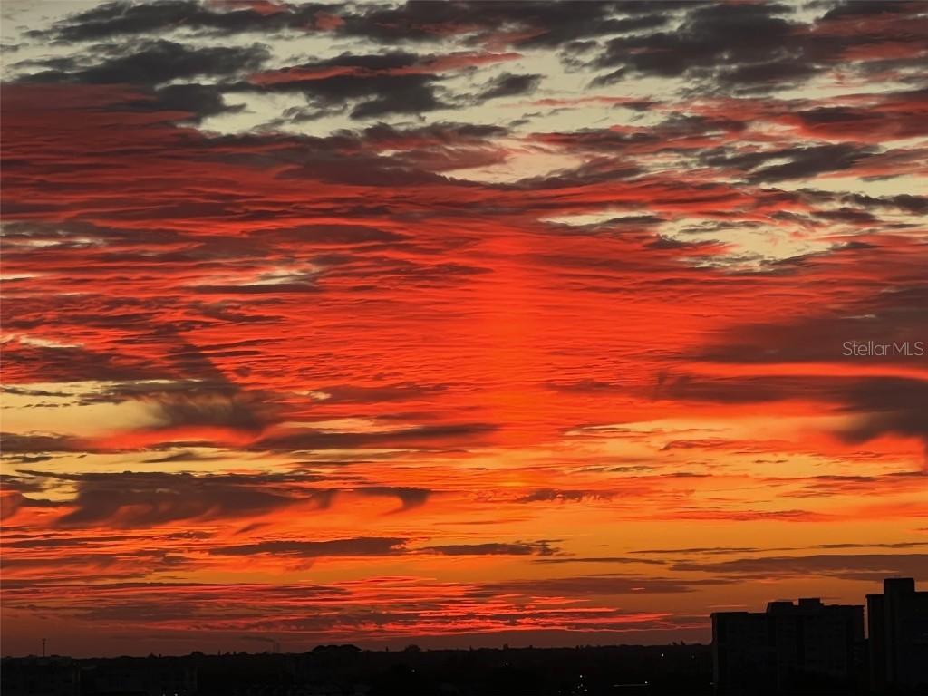 6265 Sun Blvd. #1203, St Petersburg, FL 33715