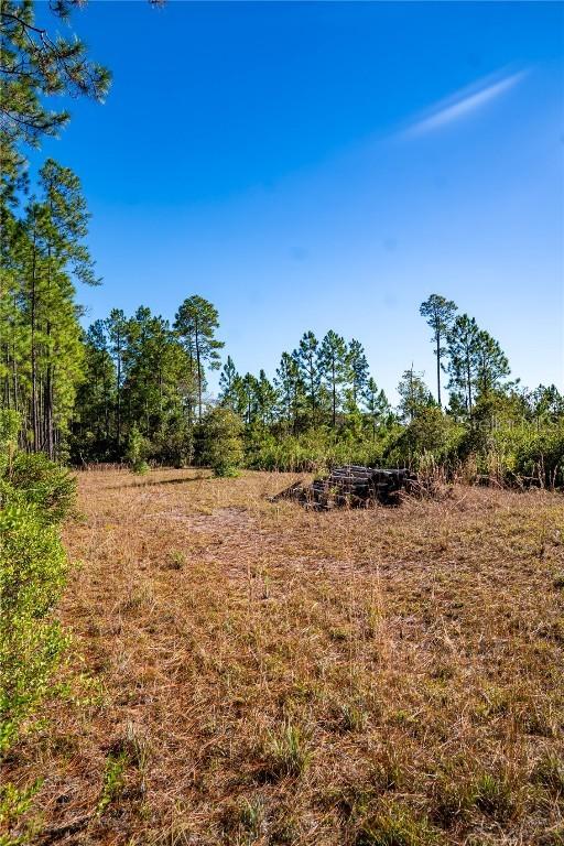 101 Thyme Dr., Interlachen, FL 32148