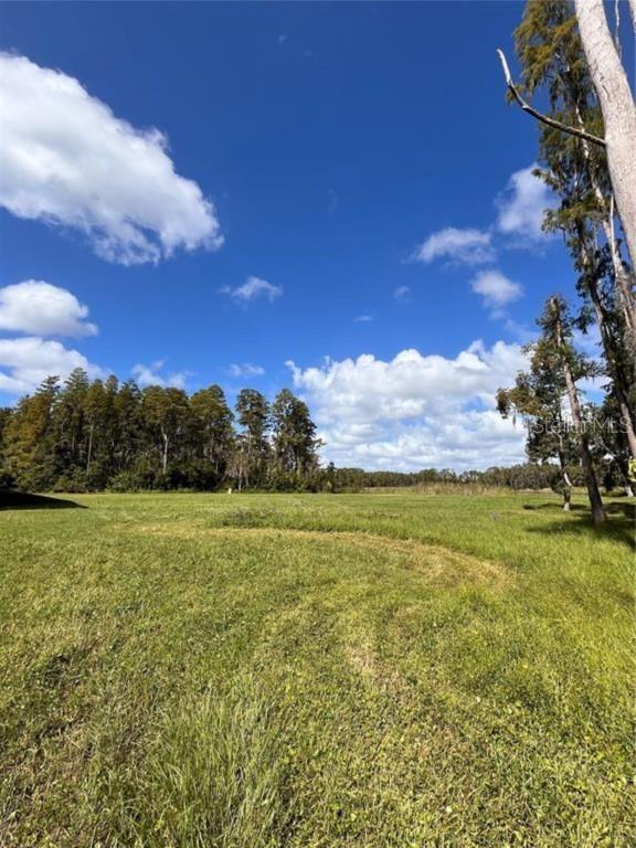 1029 Van Dyke Rd., Lutz, FL 33548